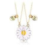 Fuqimanman2020 2 Pieces Half Heart BFF Necklace Unicorn Alpaca Fox Dolphin Heart Pendant Couple Necklace Cartoon Jewelry for Friendship Birthday Gifts-Daisy