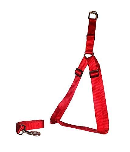 Smarty Pet Nylon Soft Padded Leash and Harness Set-0.75 Inch (Red)