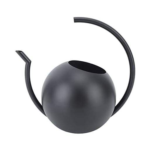 Regador de Bico Longo, Regador de Jardim de Aço Inoxidável, Ferramenta de Rega Decorativa para Plantas Internas e Externas, Flores, Suculentas, Bonsais (preto)