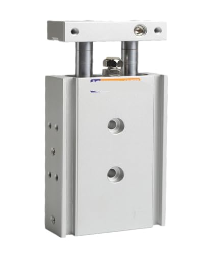Vérin double tige TR25 TR32 pour éliminer les torsions mécaniques - 5