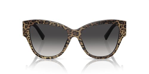 Dolce & Gabbana Sunglasses DG 4449 31638G Leo Brown On Black Grey Gradie