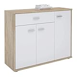 Die maximale Belastbarkeit des Highboards beträgt 20 kg und die der Einlegeböden maximal 5 kg