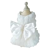 Confort facile : le design léger maintient votre animal de compagnie à l'aise tout en le portant; taille M avec tour de poitrine 37,1 cm, dos 25,9 cm, cou 32 cm