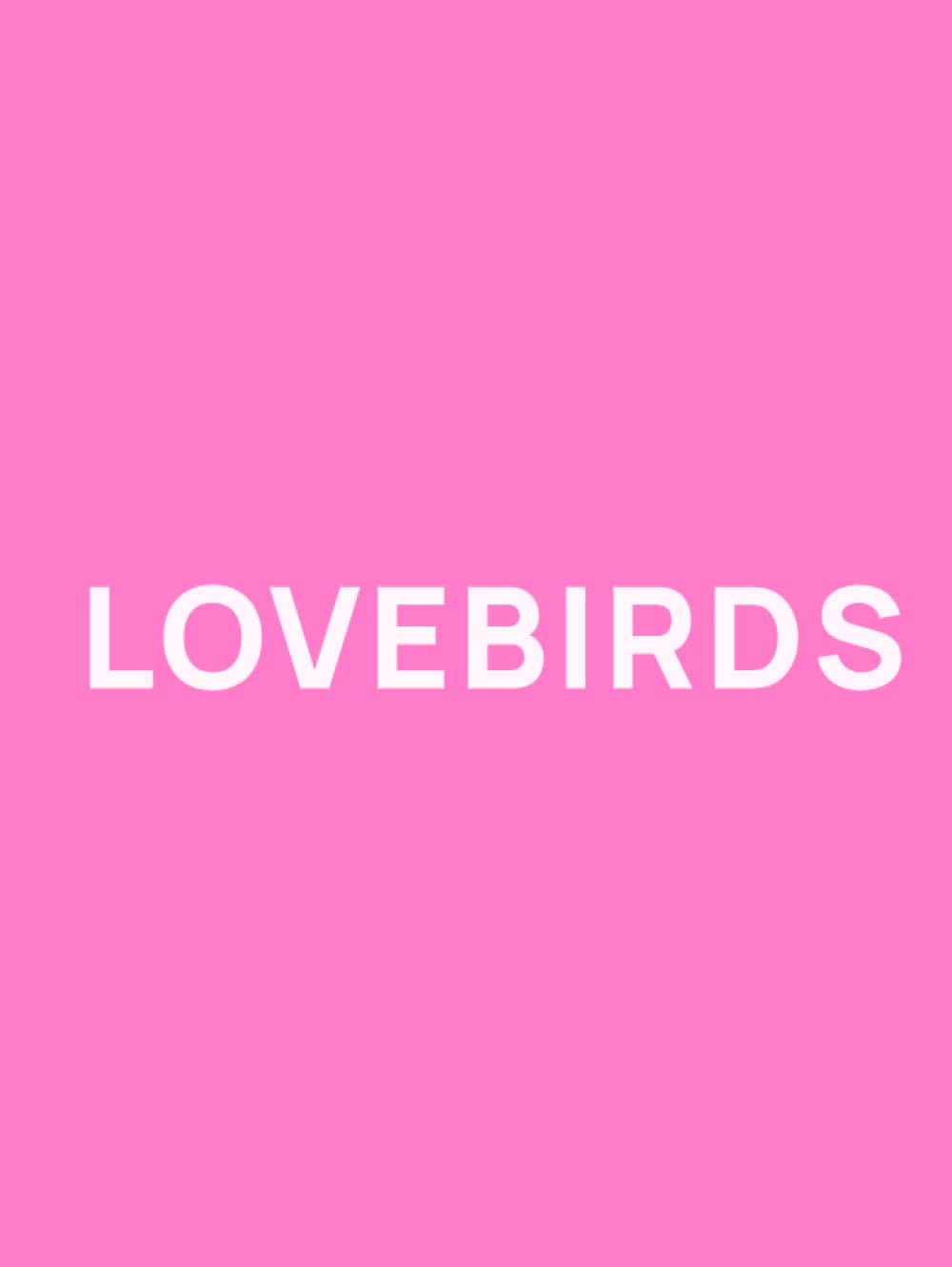 Livre esthetique Lovebirds idee cadeau decoration maison et crémaillère