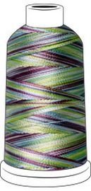 Madeira Rayon Embroidery Thread 1100yd Spool Astro Multi Color miniatura 1