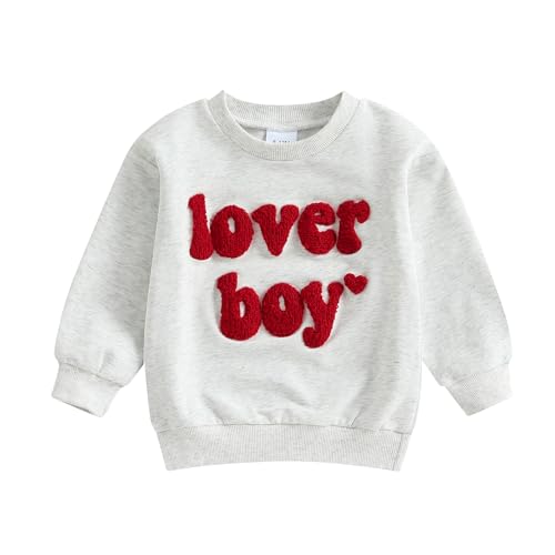 Toddler Boys Sweatshirts Long Sleeve Crew Neck Letter Embroidery Pullovers Baby Spring Tops