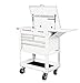 30 in. 5 Drawer Mechanic's Tool Cart Cabinet - White