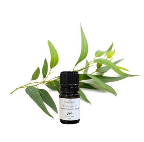 Aceite esencial de eucalipto orgánico puro 5 mL miniatura 1