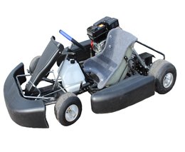 Bintelli New Racing Race Go Kart for Sale XR Model