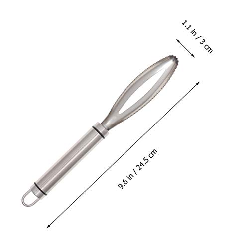 UPKOCH Removedor de escamas de peixe de aço inoxidável raspador de escamas de peixe para descamação