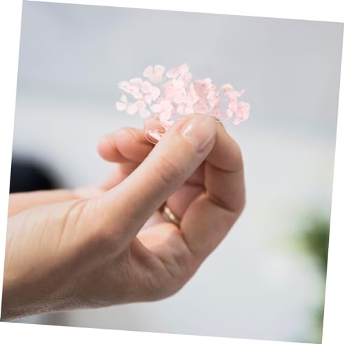 Pétalos secos naturales de hortensia rosa claro Garneck miniatura 2