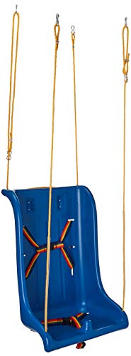 Skillbuilders Full Support Swing Seat Large