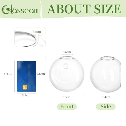Glasseam Hängende Blumenkästen aus Glas, 4 Stück, kugelförmig, Blumentöpfe, Terrarium, Behälter, Vase, mit bunten Steinen… – Ansicht 2