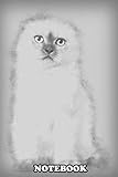 Photo Gallery notebook: highland fold kitten sitting against white background , journal for writing, college ruled size 6" x 9", 110 pages Photo Gallery notebook: highland fold kitten sitting against white background , journal for writing, college ruled size 6" x 9", 110 pages