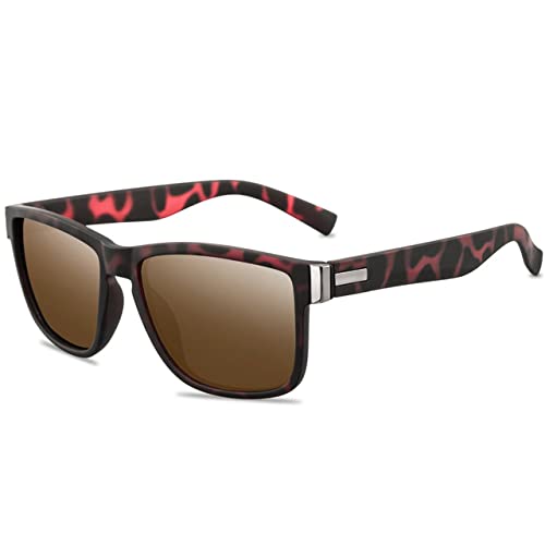 Lunettes de soleil de marque carrées au design vintage chic