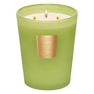 MSENSE Basil Ginger Scented Candle Home Decor Extra Large 3 Wick Natural Soy Wax Candles for Home Scented Christmas Candles Gift for Winter Holiday 150 Hours Long Lasting Slow Burning 35 OZ