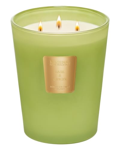 MSENSE-Basil-Ginger-Scented-Candle-Home-Decor-Extra-Large-3-Wick-Natural-Soy-Wax-Candles-for-Home-Scented-Christmas-Candles-Gift-for-Winter-Holiday-150-Hours-Long-Lasting-Slow-Burning-35-OZ MSENSE Basil Ginger Scented Candle Home Decor Extra Large 3 Wick Natural Soy Wax Candles for Home Scented Christmas Candles Gift for Winter Holiday 150 Hours Long Lasting Slow Burning 35 OZ