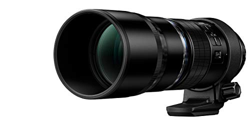 Objetivo Olympus M.Zuiko Digital ED 300 mm F4.0 Pro: Teleobjetivo Compatible con Todas las Cámaras MFT (Modelos Olympus OM-D, Pen y Panasonic Serie G), Color Negro - Fernando Cortés
