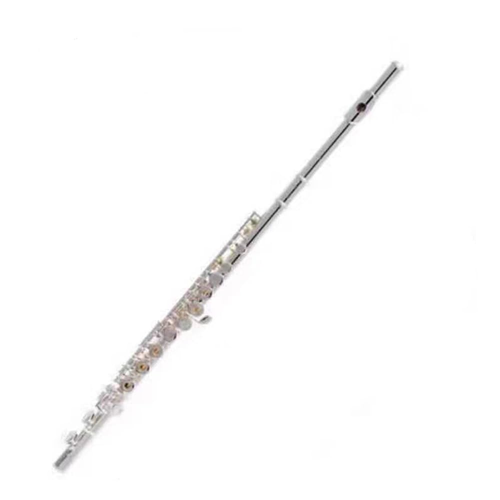 HCZKIUJY 16-Hole Closed Silver-Plated Flute, for Beginners/Exams/Band Performances/Festivals,B (C)