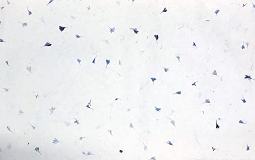 Real Petals Pink And Blue Handmade Gift Wrapping Paper 3 Pack #TOP1