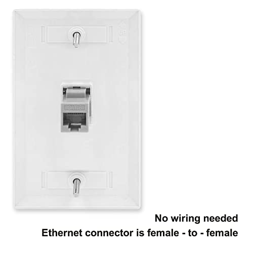 Art Plates - Decorative Printed 2 Port Data Wall Plate - RJ11 Telephone Jack Connector and RJ45 (Cat5, Cat6, Cat7) Ethernet Connector - Gold-Plated Contacts - Bear and Wolf - Thumbnail 3