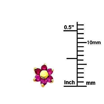 Wellingsale 14K Yellow Gold Brilliant Flower Stud Earrings With Screw Backings2