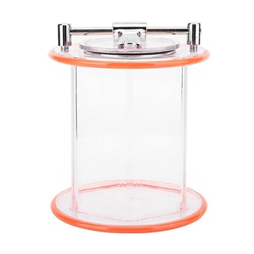 Pulidor giratorio de joyería y vaso compacto portátil para manualidades 5
