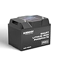 Renogy 12V 100Ah Bluetooth Self-Heating Lithium LiFePO4 Deep Cycle Battery, 5000+Deep Cycles, dust-proof IP67, Backup Power for RV, Cabin, and Marine Applications-Pro Series