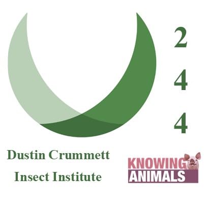 Episode 244: Insect farming with Dustin Crummett cover art