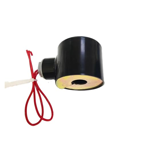 Bobine solénoïde 2W cuivre DC 24V DN20 pour réparer vanne bloquée - 4