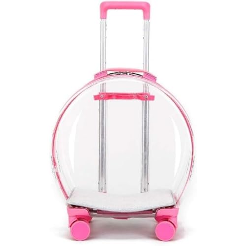 uFLYKINGvybgL[obO ybgobO @\ L L[P[X gN ^ LX^[4  eʃVvvbh ^тɕ֗ŃVv pobO ʋC Lknh gт₷  ʉ@ U ԍڗs d