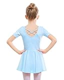 Stelle Ballet Leotards for Girls Dance Leotard with Skirt Toddler Dance Outfits Criss-Cross Back (Blue,4T)