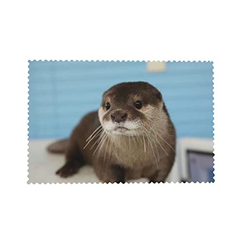 Cute Otter Placemat For Holiday Party Table Decoration Heat Resistant And Waterproof Wipeable, 18X12 #TOP7