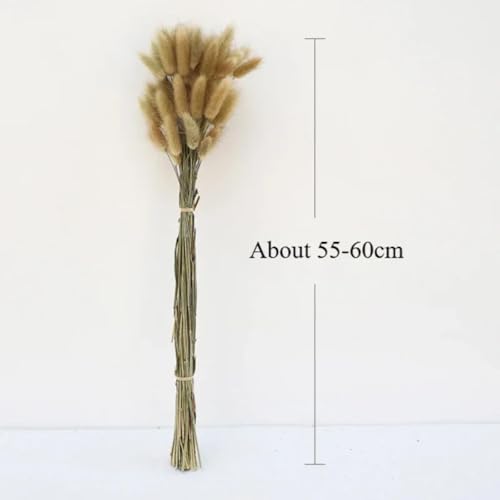Pampas Grass Decor Tall 60Pzs Flores Secas miniatura 7