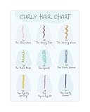 Hair Styling Reference Poster Curl Type Classification 