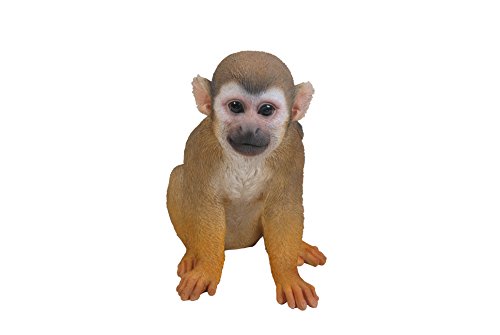 Vivid Arts XRL-SQMK-D Scimmie Scoiattolo Resina