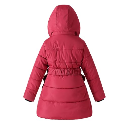 Girl Winter Dress Coats Hooded Fleece Jacket Warm Outwear