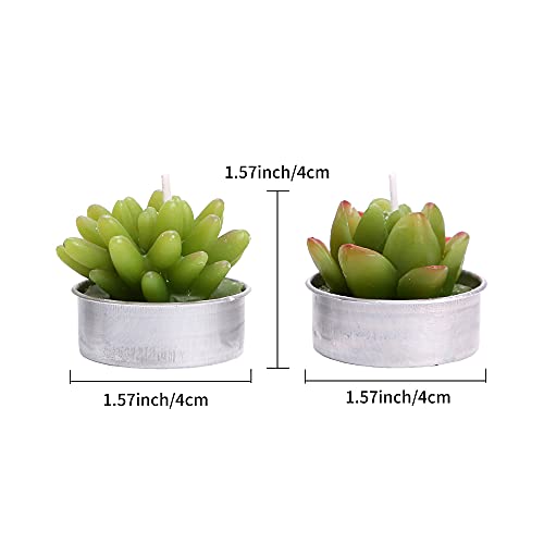 12 Pcs Cactus Tealight Candles Delicate Succulent Cactus Candles For Valentine's Day Birthday Party Wedding Spa Home Decoration Gifts #TOP1