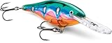 Rapala Shad Rap 4 Fishing Lure