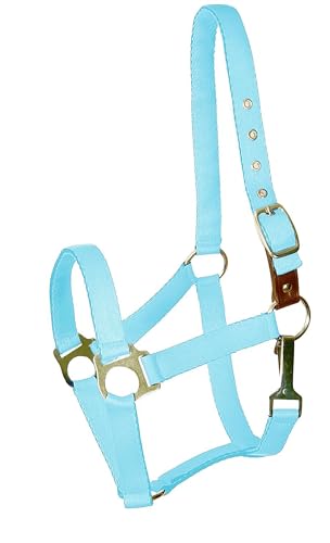 Gatsby Nylon Safety Breakaway Halter Weanling Blue