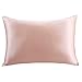 LULUSILK Kissenbezug, 100 % reine Seide, 16 Momme, mit verdecktem Reißverschluss, schont Haut und Haare, 1 Stück 40 x 60 cm Ciruela Clara