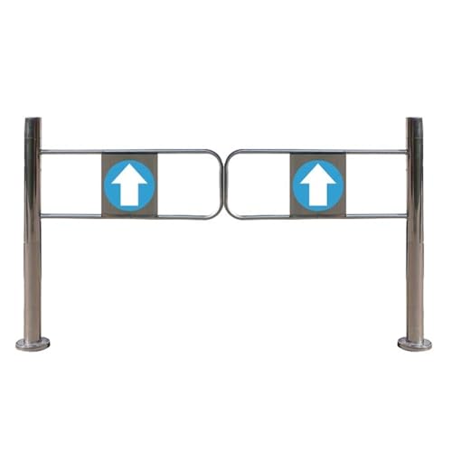 Automatisches Einfahrtstor aus Edelstahl für Bibliotheken und Ausstellungsräume, Außen-Eingangsportal (Silber-Finish)