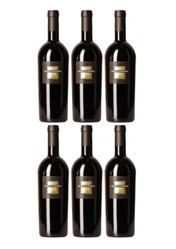 San Marzano Sessantanni Primitivo di Manduria DOP 2020 (6 x 0,75 l)