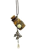 Dark Brown Cute Strong Miniature Glass Wishing Bottle Pendant with Vintage Bronze Butterfly Charms and Flower Leather Long Chain Necklace
