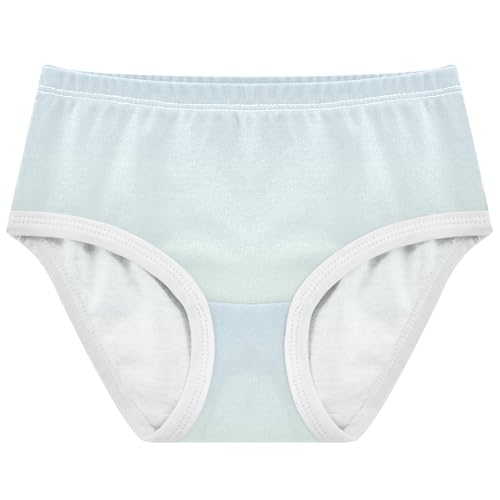 Joisal Cotton Toddler Girls Underwear Ombre Cyan Blue Gradient Panties Little Girl Print Kids Undies Briefs 2t