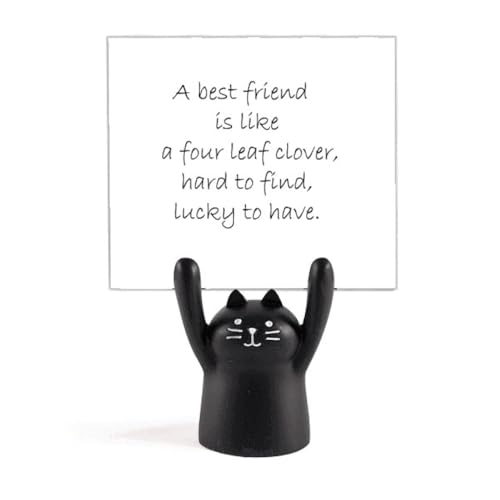 eF̎lt̃N[o[̈p̂悤ł J[gD[LX^h^z_[