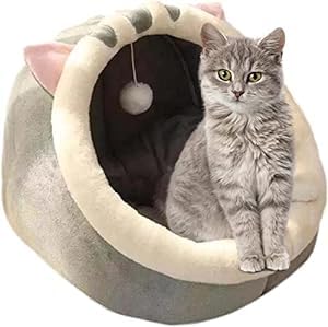 See full amazon price history chart for Cloyster Pet Supplies Pet Tent, Cat Bed for Indoor Cats, Puppy, Kitty, Kitten, Rabbit, Semi-Enclosed House Villa Four Seasons Universal Cat Bed Pet Supplies Cloyster Pet Supplies Pet Tent, Cat Bed for Indoor Cats, Puppy, Kitty, Kitten, Rabbit, Semi-Enclosed House Villa Four Seasons Universal Cat Bed Pet Supplies (B0BY54MSQX) Amazon Price History, Amazon Price Tracker