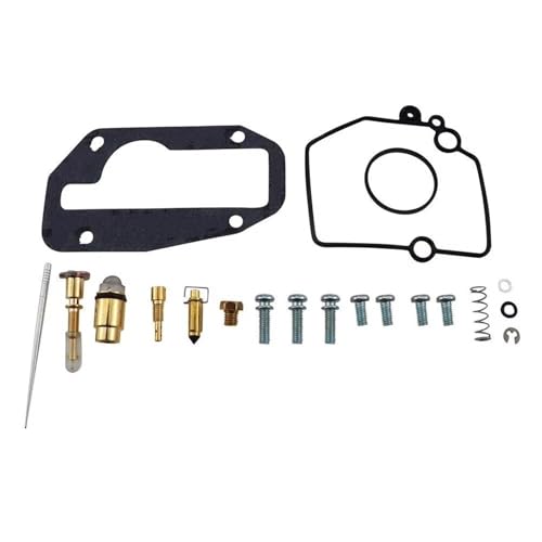 Carburateur TTR250 kit de réparation pour résoudre les fuites d'essence