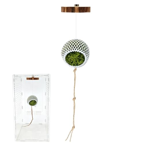 Accessoires d'araignée sauteuse-décor de fournitures d'habitat d'escalade, ornement d'enceinte en corde de coton en bois, ensemble de branches de jungle de...