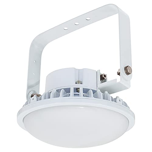 日動 ハイディスク 150W 25300lm 吊り下げ式 L150B-P-HM110